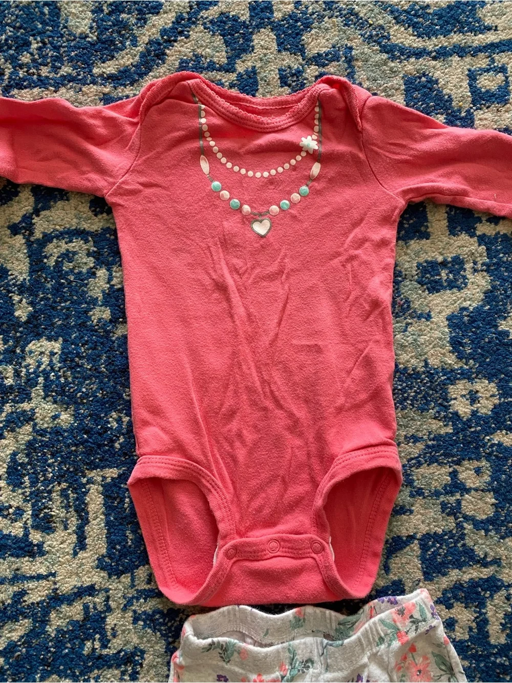Carters soft coral